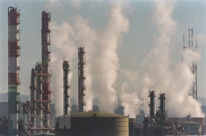 Bình Khí CO2, Đồng Hồ Khí CO2 và Các Thiết Bị, Phụ Kiện Cho Khí CO2